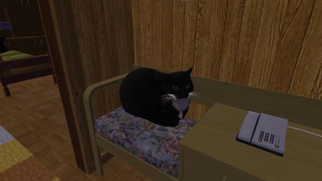 Dingus для My summer car
