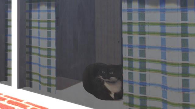 Dingus для My summer car