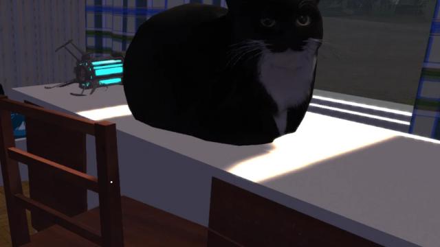 Dingus для My summer car