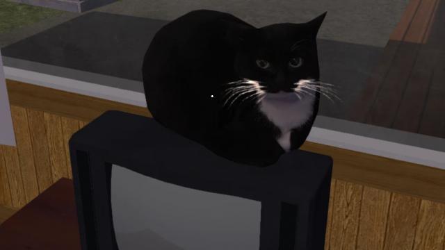 Dingus для My summer car