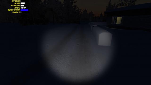 Head lamp