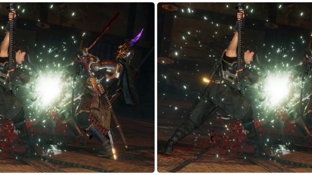 Hayabusa  Hayabusa Cape removal for Nioh 2