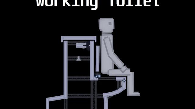 Working Toilet