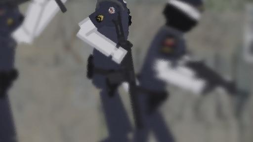 Brazilian Police Forces
