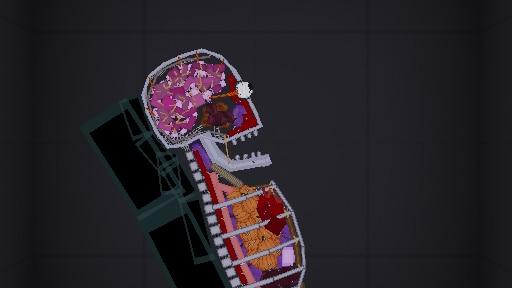 Body organs