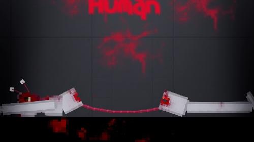 Expanded Gore Human