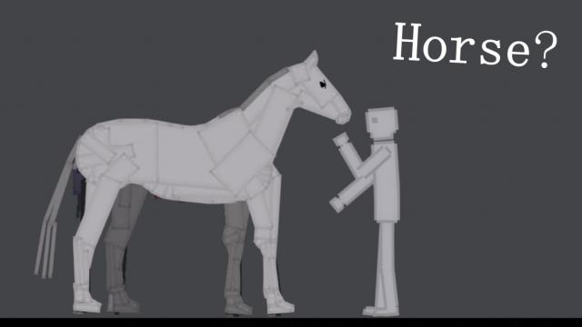 OP Horse
