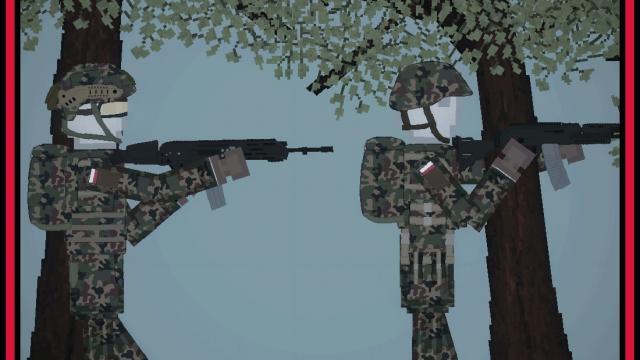 Польская армия / Polish Armed Forces
