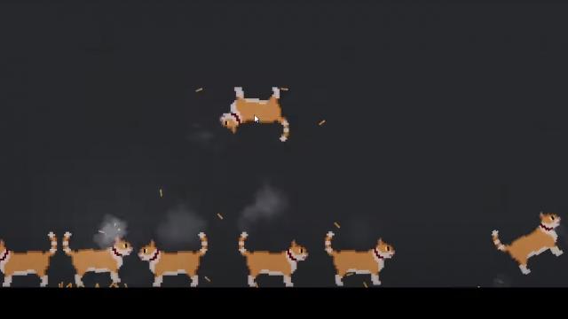 Cat Gun