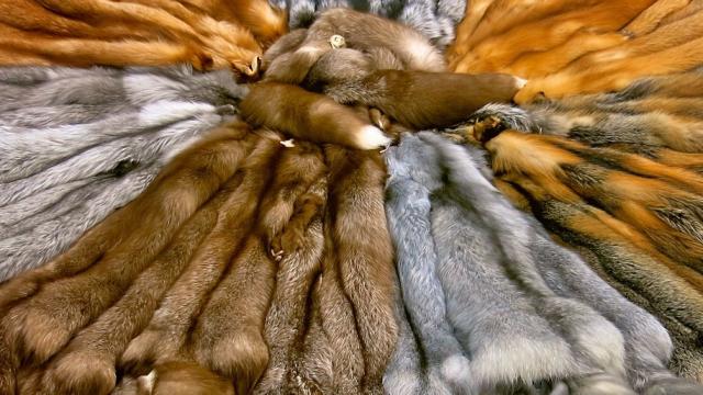 Меховая одежда / Fur Clothes