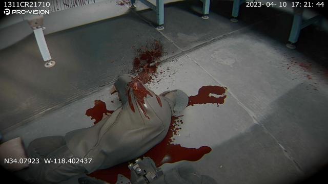 Visceral Blood для Ready Or Not