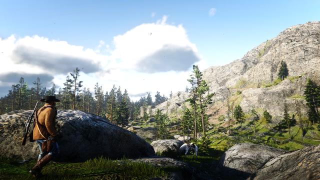 Hint Reshade for Red Dead Redemption 2