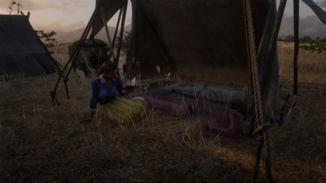 Лагерь в Мексике / Mexico Camp для Red Dead Redemption 2