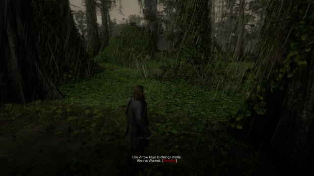 Red Dead Wanted