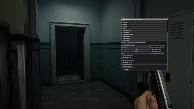 Adjust FOV