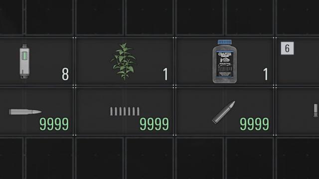 Max Stack Sizes- 999-99999 or Multipliers- x2-10