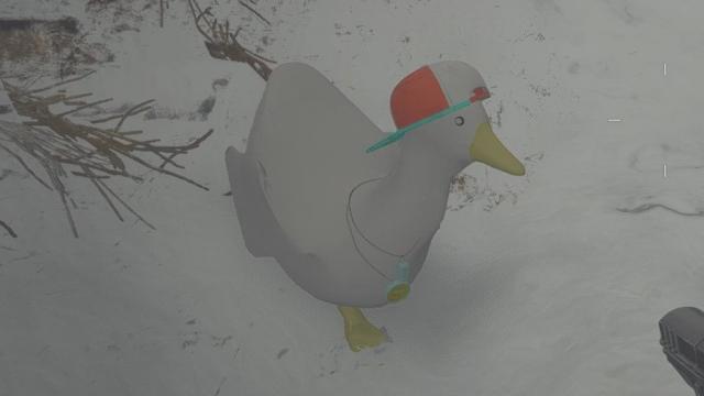 Shuba Duck in RE8
