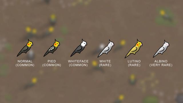 Bird Up Bundle for Rimworld