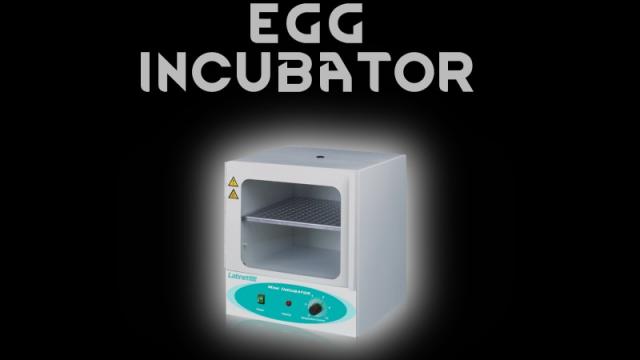 Egg Incubator