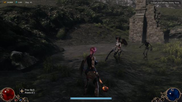 Enemy Succubi