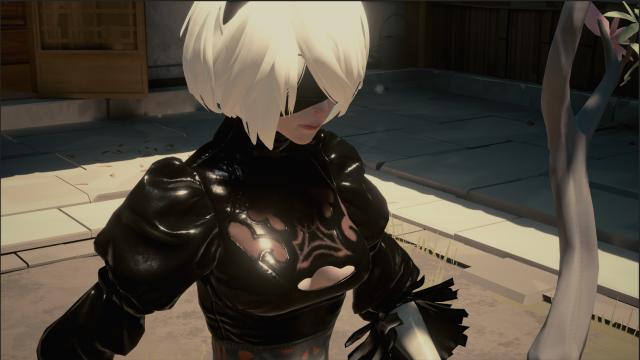 2B    2B (No Skirt) for Sifu