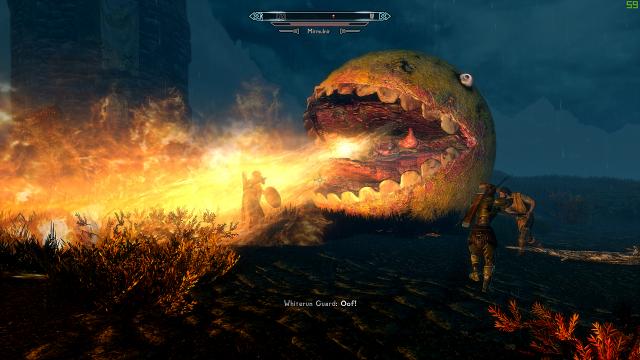 Wakka Wakka Rising for Skyrim SE-AE