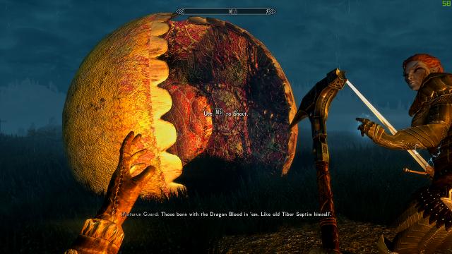 Wakka Wakka Rising for Skyrim SE-AE