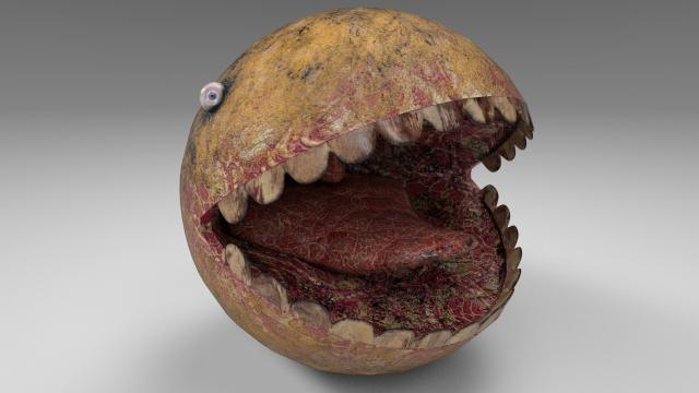 Wakka Wakka Rising for Skyrim SE-AE