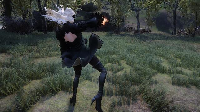 Unarmed Power Attack Animation Replacer -