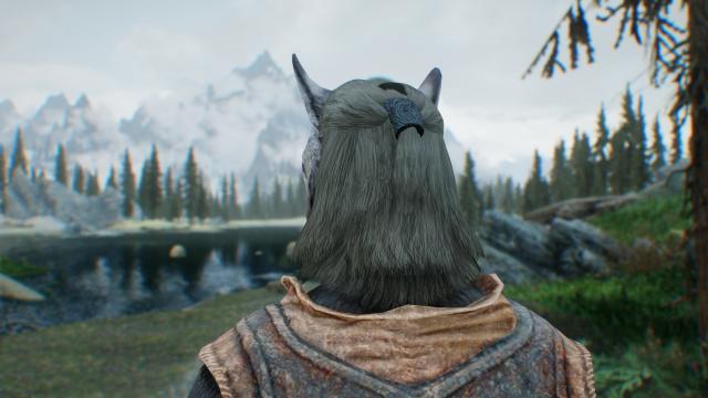 High Poly Vanilla Hair for Skyrim SE-AE