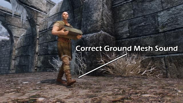 Dlizzio&rsquo;s Mesh Fixes - Фикс моделей и текстур для Skyrim SE-AE