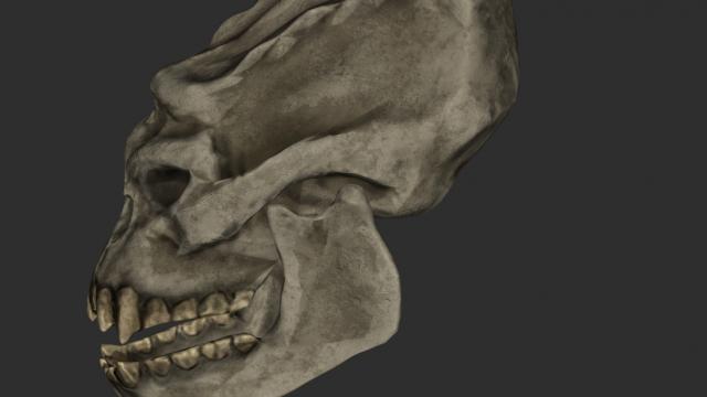 Череп троля 2к-4к / Troll Skull Retexture для Skyrim SE-AE