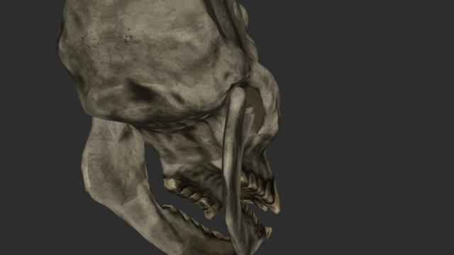 Череп троля 2к-4к / Troll Skull Retexture для Skyrim SE-AE