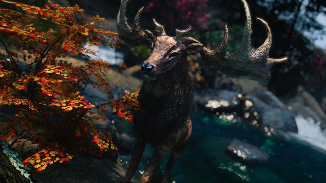 Реалістичні лосі та олені / MM - Real Elks для Skyrim SE-AE