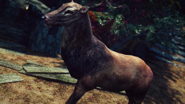 Реалістичні лосі та олені / MM - Real Elks для Skyrim SE-AE