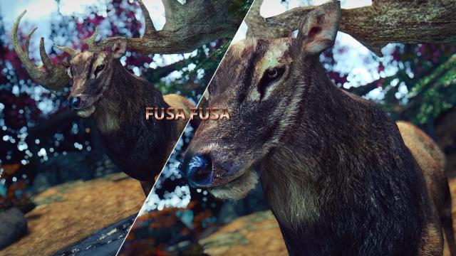 Реалістичні лосі та олені / MM - Real Elks для Skyrim SE-AE