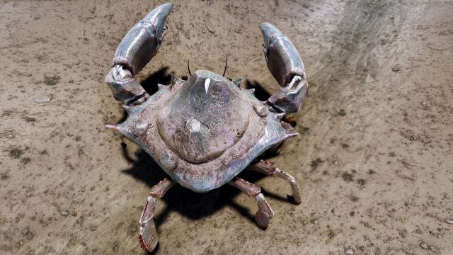 Высокополигональные грязевые крабы / High poly Mudcrab n Retexture для Skyrim SE-AE
