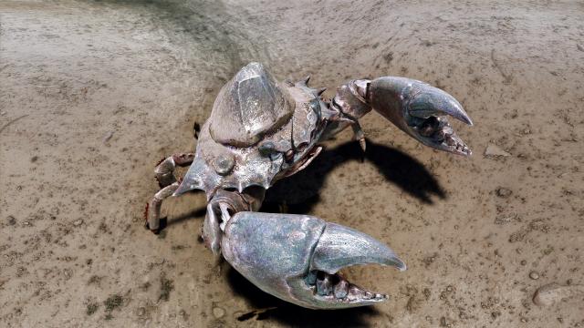 Высокополигональные грязевые крабы / High poly Mudcrab n Retexture для Skyrim SE-AE