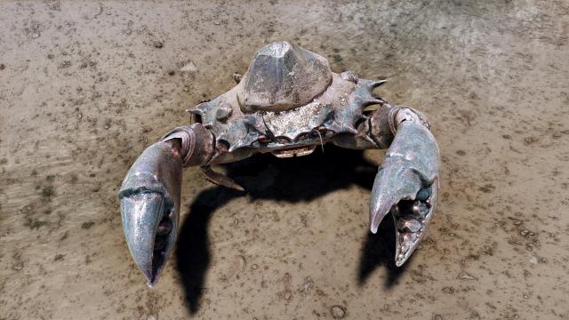 Высокополигональные грязевые крабы / High poly Mudcrab n Retexture для Skyrim SE-AE