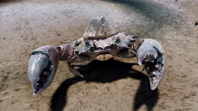 Высокополигональные грязевые крабы / High poly Mudcrab n Retexture для Skyrim SE-AE