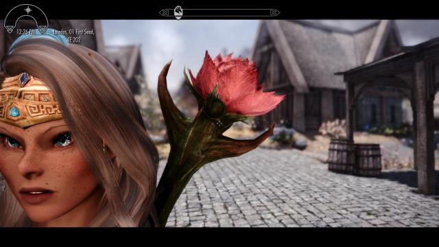 2к Роза Сангвіна / 2K Sanguine Rose для Skyrim SE-AE