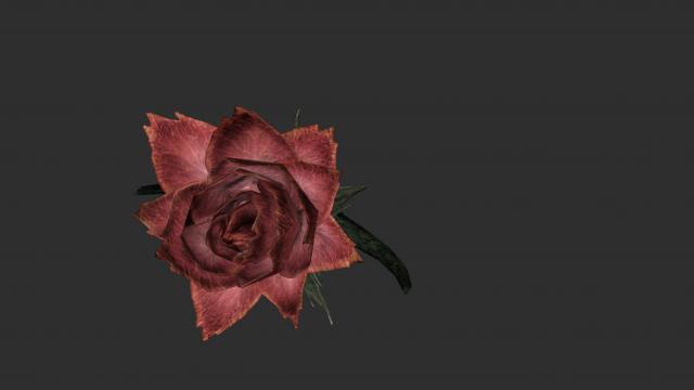 2к Роза Сангвіна / 2K Sanguine Rose для Skyrim SE-AE