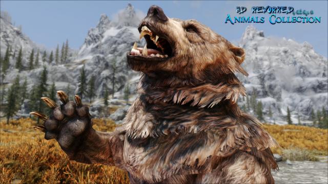 4к ведмеді / HD Reworked Bears 4K