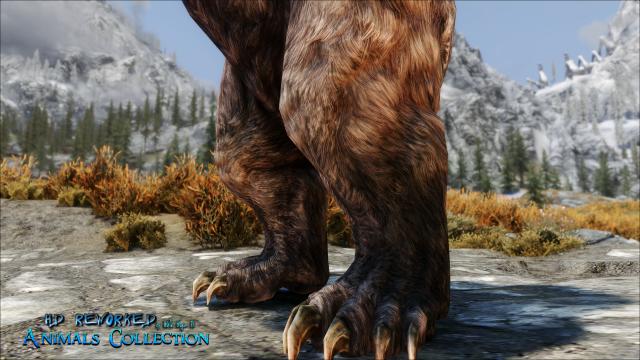 4к ведмеді / HD Reworked Bears 4K для Skyrim SE-AE