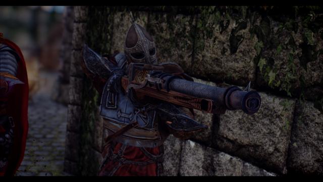 Lore Friendly Rifles of Skyrim for Skyrim SE-AE