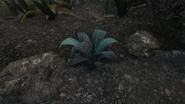 A Nirnroot for Skyrim SE-AE