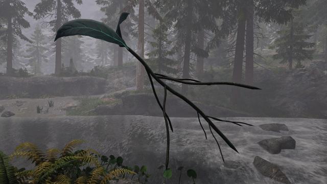 A Nirnroot for Skyrim SE-AE