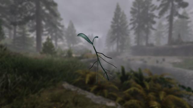 A Nirnroot for Skyrim SE-AE