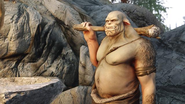 Ogres SE