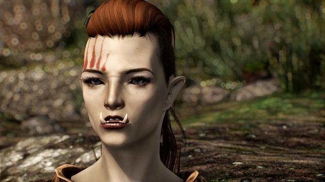 A Rose in the Snow - Reborn для Skyrim SE-AE